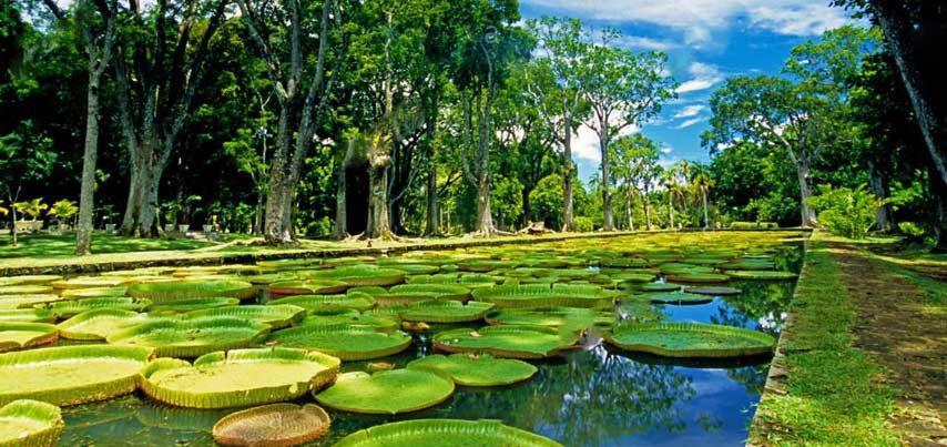 Lotus Villa, Residences Le Chaumet, Pereybere Bain Boeuf Buitenkant foto